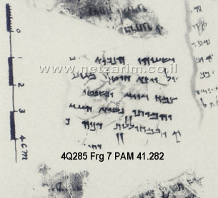 DSS 4Q 285, Fragment 7 PAM 41.282